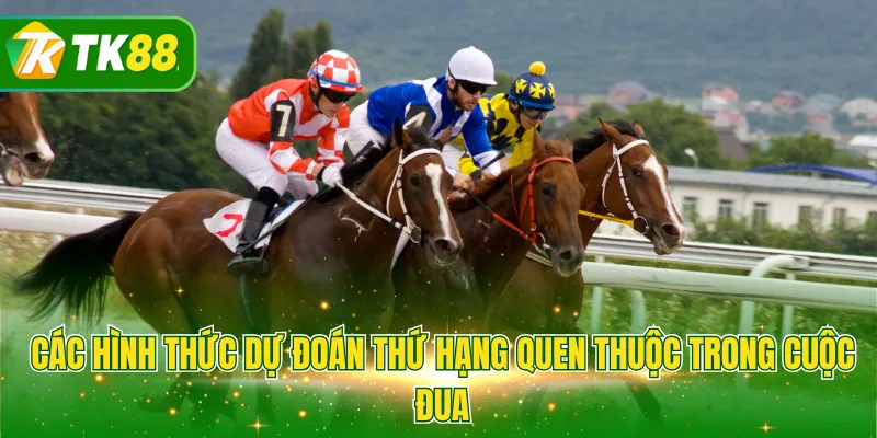 Các hình thức dự đoán thứ hạng quen thuộc trong cuộc đua