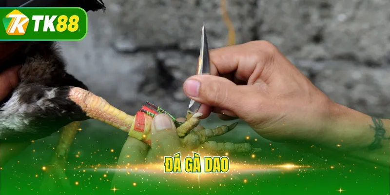 đá gà dao