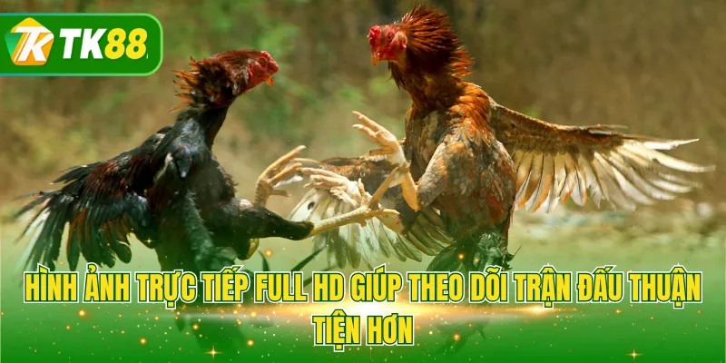 Hình ảnh trực tiếp Full HD giúp theo dõi trận đấu thuận tiện hơn