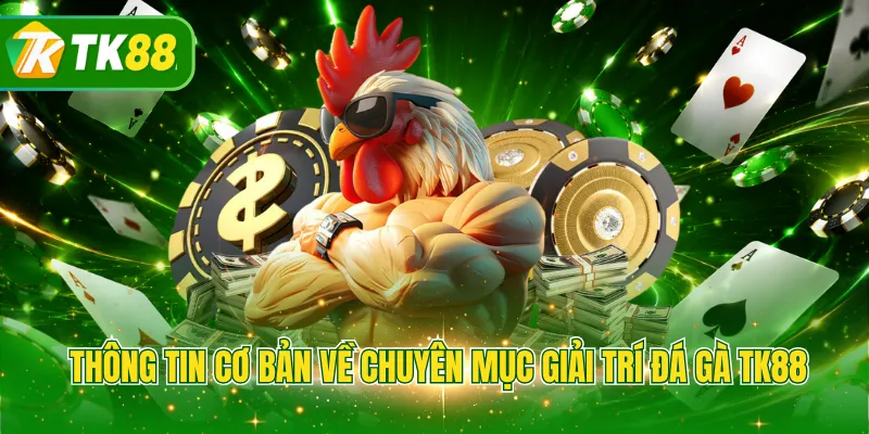 Thông tin cơ bản về chuyên mục giải trí đá gà TK88